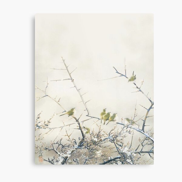 Vintage Japanese Art 6, Japanese White-Eye and Plum Blossoms Metal Print