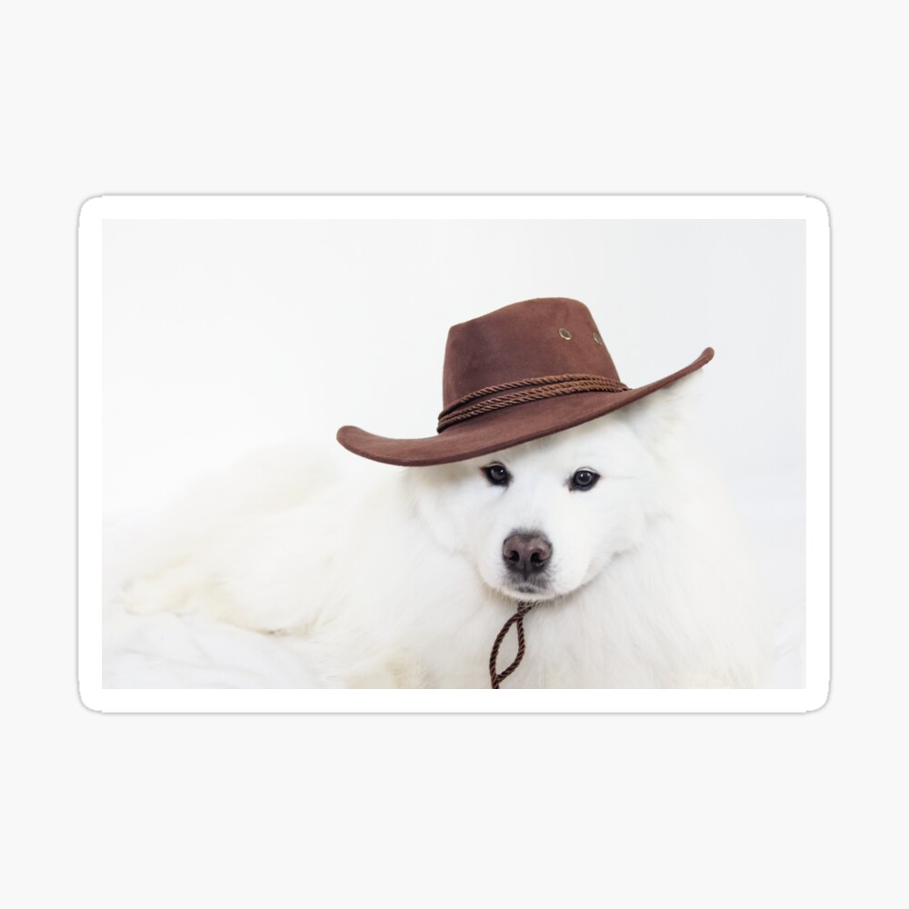 bone shaped memory foam dog mat