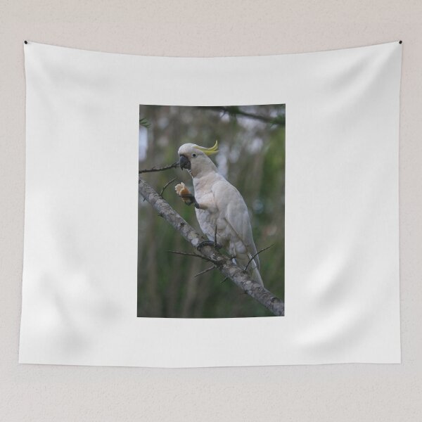 Item preview, Sulphur Crested Cockatoo designed and sold by Kim Roper.