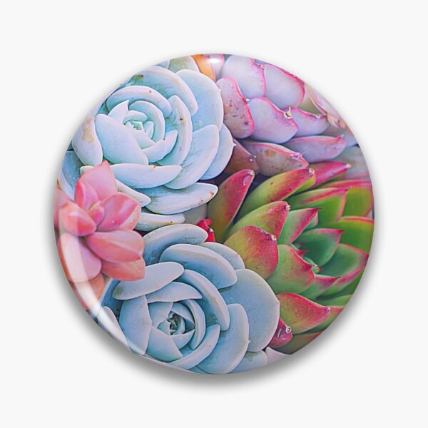 Item preview, Succulent variety designed and sold by AliCaliDesigns.