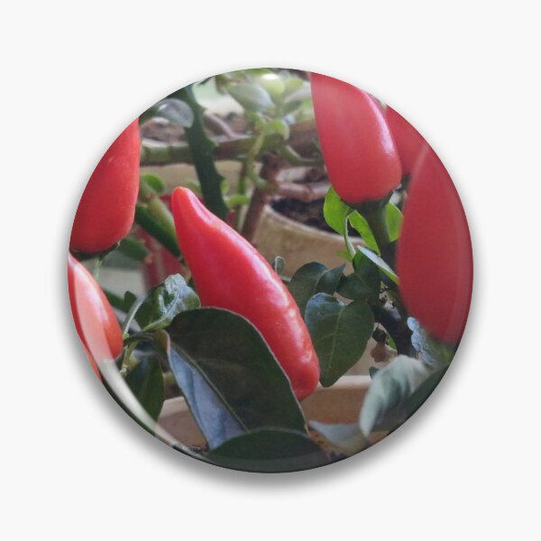 Item preview, Chili pepper capsicum designed and sold by hvasilevshop.