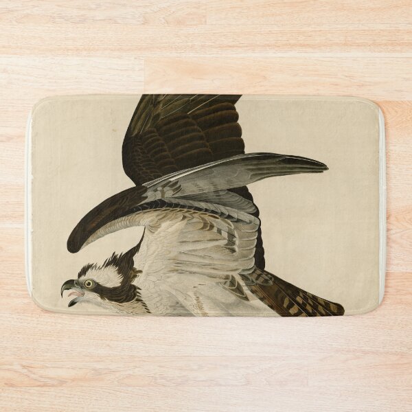 Item preview, 81 Fish Hawk or Osprey designed and sold by Bird-Lore.