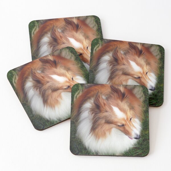 Item preview, Shetland Sheep Dog designed and sold by Roz McQuillan Fine Art & Photography.
