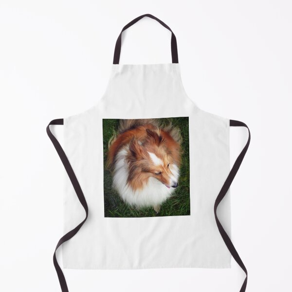 Item preview, Shetland Sheep Dog designed and sold by Roz McQuillan Fine Art & Photography.