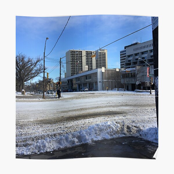 "Downtown Saskatoon Public Library " Poster for Sale by ZandriaK