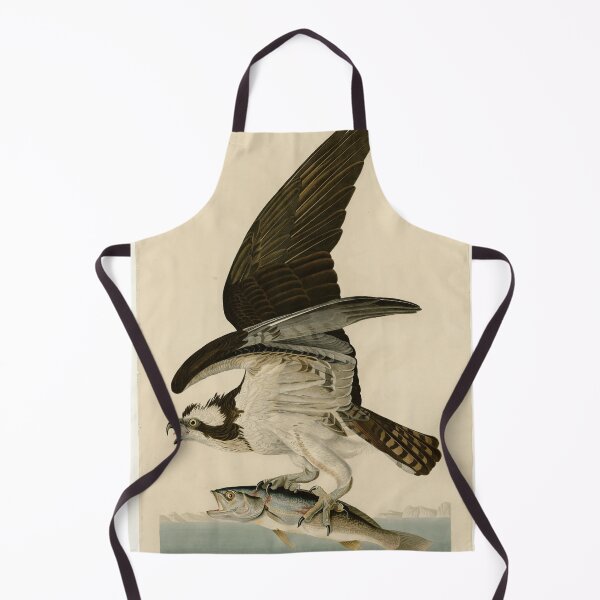 Item preview, 81 Fish Hawk or Osprey designed and sold by Bird-Lore.