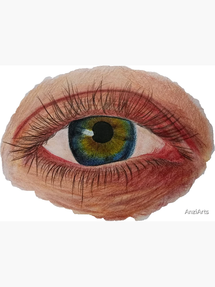 Colorful Male Eyes Sticker for Sale by AnnArtshock