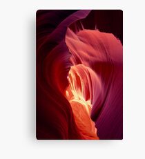 Heart of the Desert Canvas Print