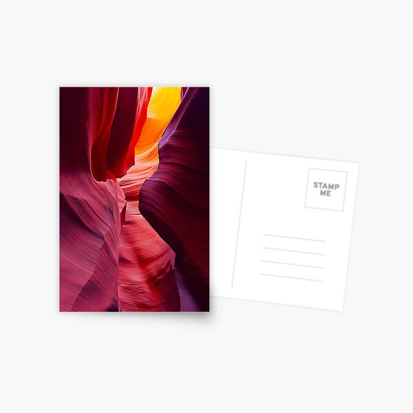 Desert Symphony Postcard