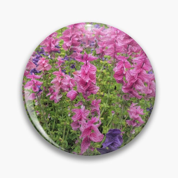 Item preview, Annual Clary Sage - (Salvia viridis) designed and sold by Marilyn Harris.