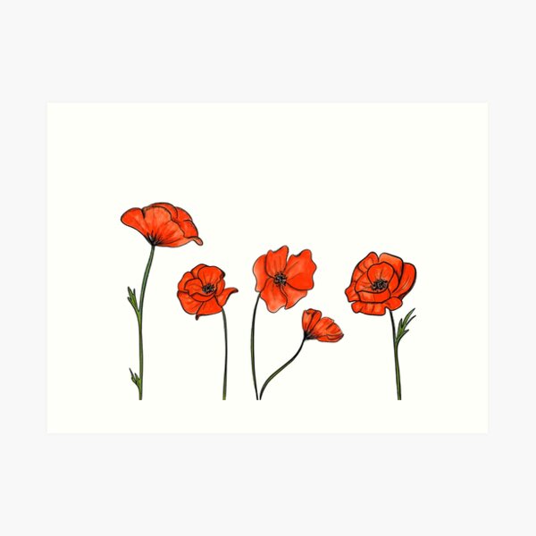 Mohnblumen Kunstdruck
