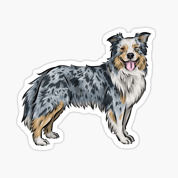 Item preview, Australian Shepherd Dog | Blue Merle | Cute Dog Art designed and sold by shirinsart.