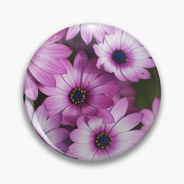 Item preview, Cape Daisy Always Pink designed and sold by Joy Watson - Natural Light Photography .