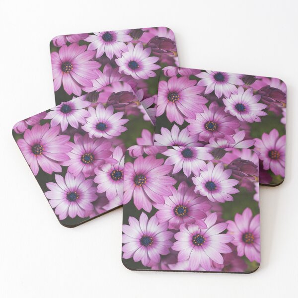 Item preview, Cape Daisy Always Pink designed and sold by Joy Watson - Natural Light Photography .
