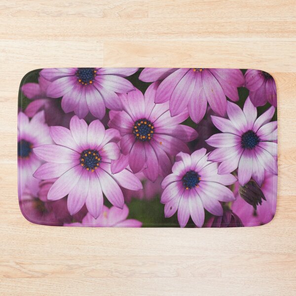 Item preview, Cape Daisy Always Pink designed and sold by Joy Watson - Natural Light Photography .