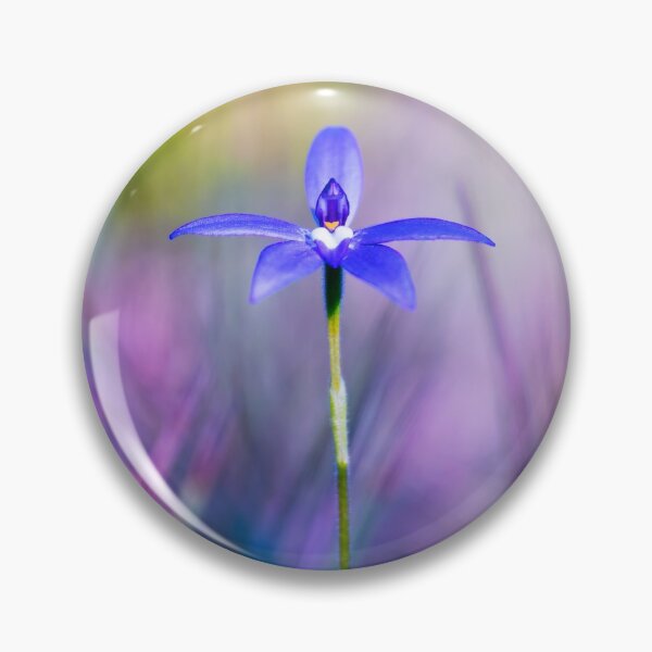 Item preview, Blue Flower Waxlip Orchid designed and sold by Darryl Fowler.