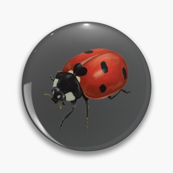 Item preview, Ladybird designed and sold by QuirkyTales.