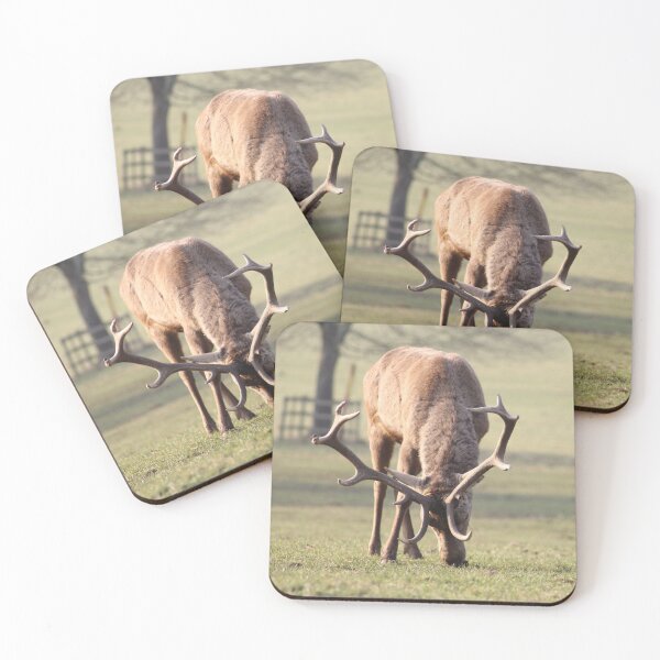 Item preview, Deer at Wollaton Park, Nottinghamshire designed and sold by HelenWhittle.