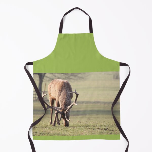Item preview, Deer at Wollaton Park, Nottinghamshire designed and sold by HelenWhittle.
