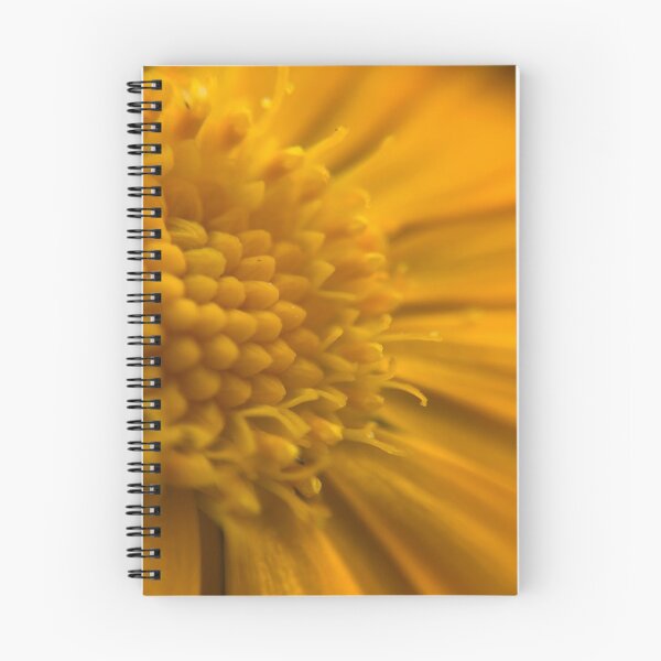 Item preview, Calendula designed and sold by LinaLyss.