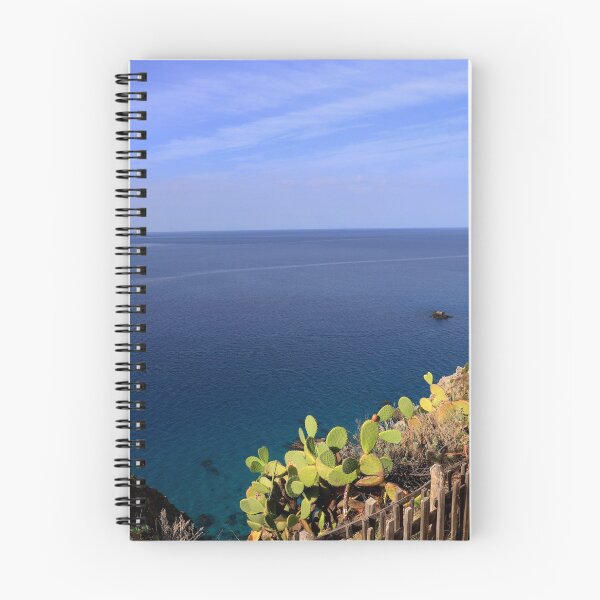 Item preview, Capo Vaticano designed and sold by annalisa56.