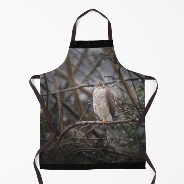 Item preview, Sparrowhawk on apple tree designed and sold by Kipcio.