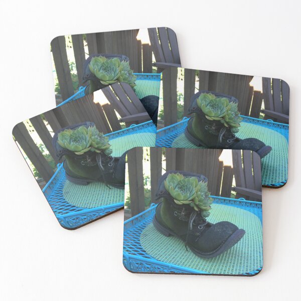 Item preview, Old shoe with succulents designed and sold by hedg3hog.