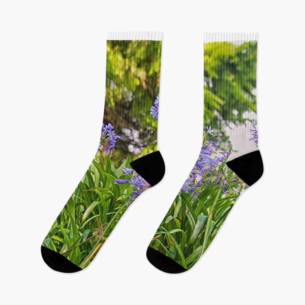 Item preview, Agapanthus (African lily) designed and sold by Photopat.