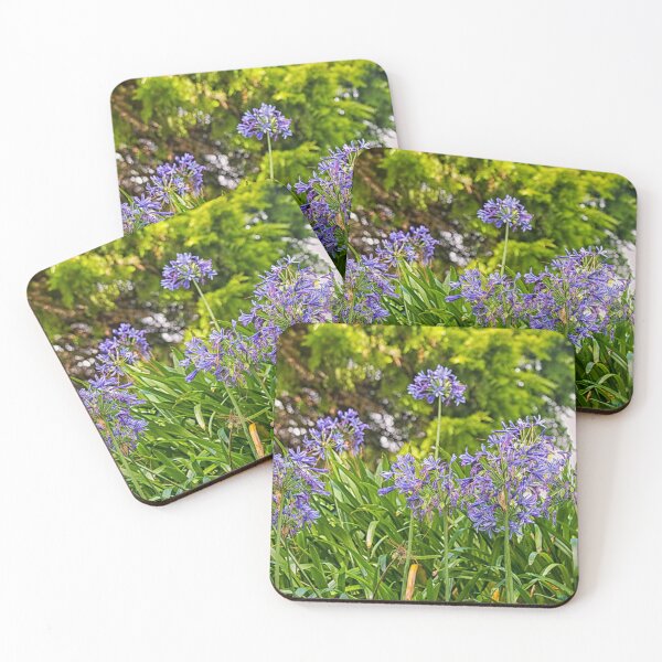 Item preview, Agapanthus (African lily) designed and sold by Photopat.