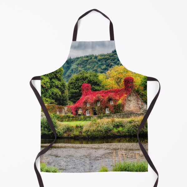 Item preview, Llanrwst Bridge and Tea Room Panorama designed and sold by AJEvans.