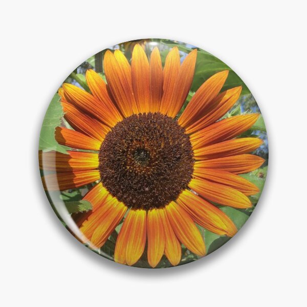 Item preview, Burnt orange sunflower designed and sold by hedg3hog.