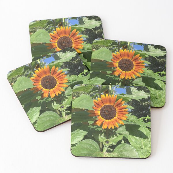 Item preview, Burnt orange sunflower designed and sold by hedg3hog.