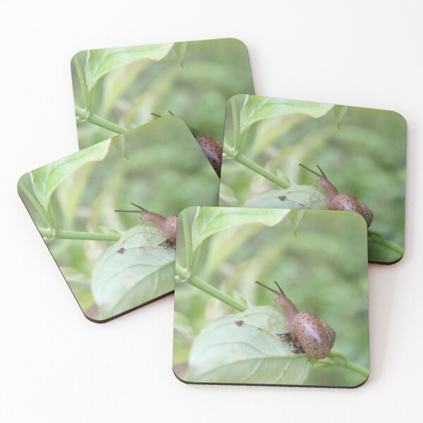 Item preview, North Carolina Snail designed and sold by aprilann.
