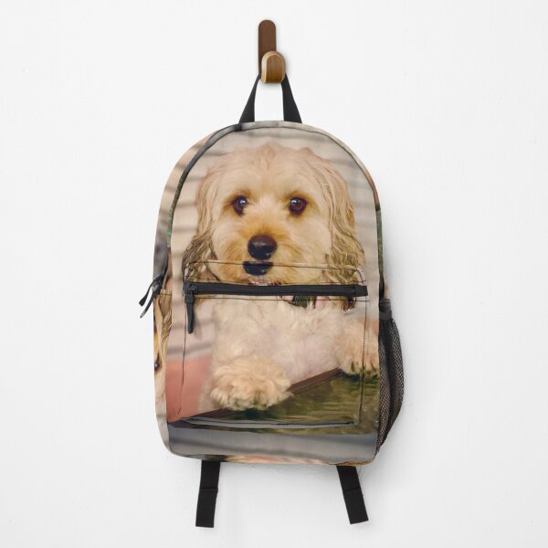Item preview, Cavapoo Stella designed and sold by SusanneFerrante.