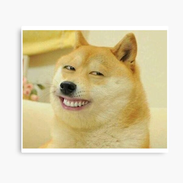Doge Meme Canvas Prints Redbubble - twinke doge roblox