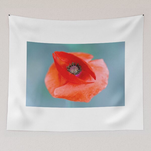 Aperçu de l'œuvre Un coquelicot à retenir créée et vendue par BRENDA DOHERTY.