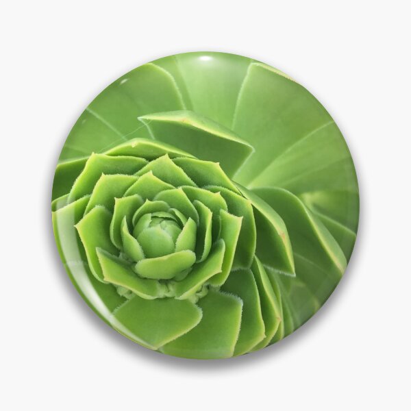 Item preview, Green Succulent designed and sold by PlanetPrinted.