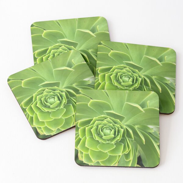 Item preview, Green Succulent designed and sold by PlanetPrinted.