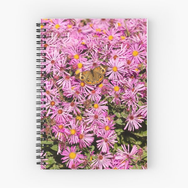 Item preview, Common Buckeye and Aster 2013-1 designed and sold by Thomasyoung.