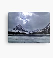 Glaciers Metal Print