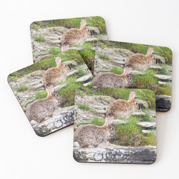 Item preview, Rabbits at Cantick Head designed and sold by Alan Mackinnon.