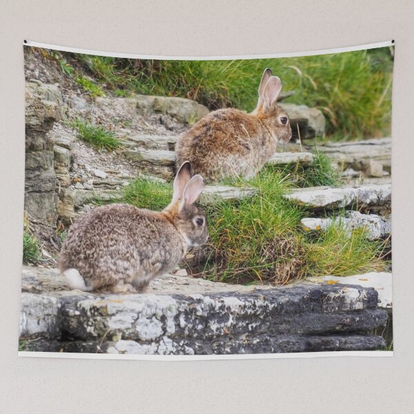 Item preview, Rabbits at Cantick Head designed and sold by Alan Mackinnon.