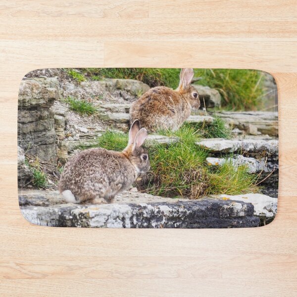 Item preview, Rabbits at Cantick Head designed and sold by Alan Mackinnon.