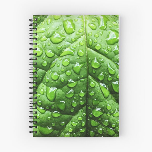 Item preview, Water on leaf designed and sold by PlanetPrinted.