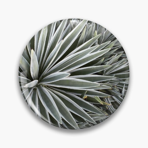 Item preview, Cactus designed and sold by PlanetPrinted.