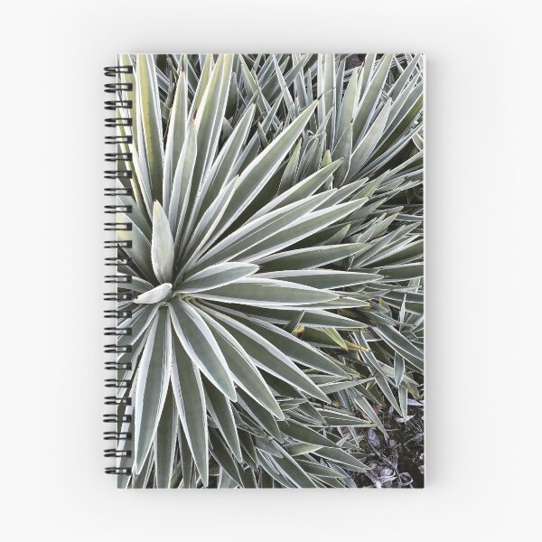 Item preview, Cactus designed and sold by PlanetPrinted.