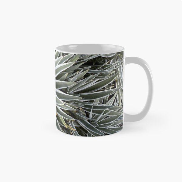 Item preview, Cactus designed and sold by PlanetPrinted.