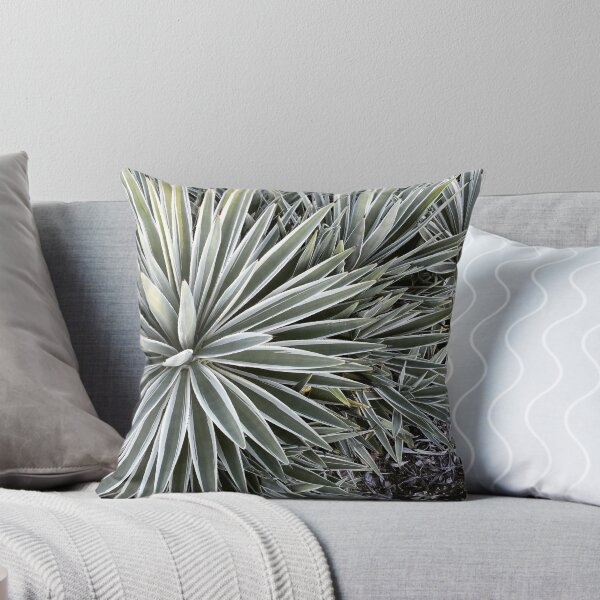 Item preview, Cactus designed and sold by PlanetPrinted.