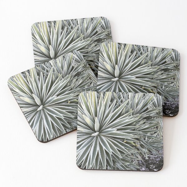 Item preview, Cactus designed and sold by PlanetPrinted.