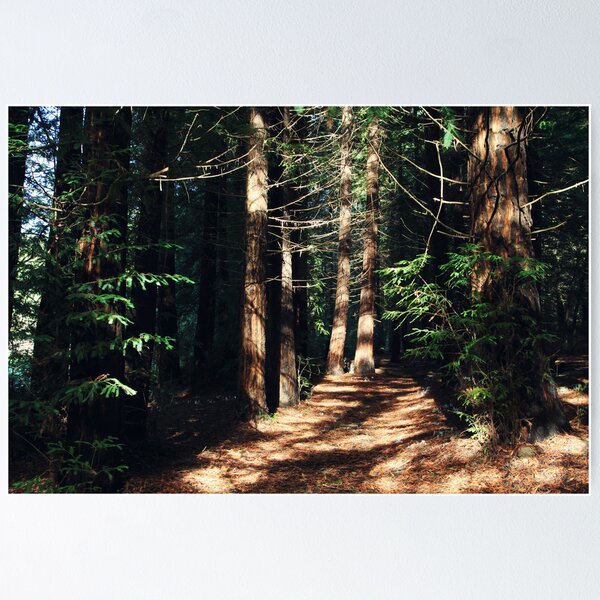 Item preview, When You See the Light designed and sold by Laurie Search Fine Art Photography.